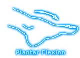 Plantar Flexsion